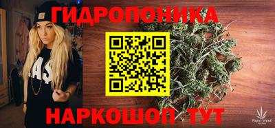 шишки Пугачёв