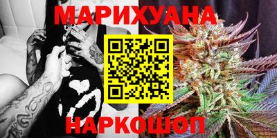 шишки Пугачёв