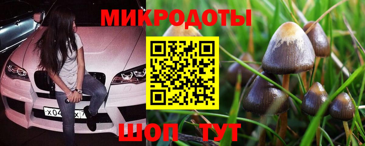 Ступино  Галлюциногенные грибы MAGIC MUSHROOMS  Вход с VPN  Галлюциногенные грибы Magic Shrooms 